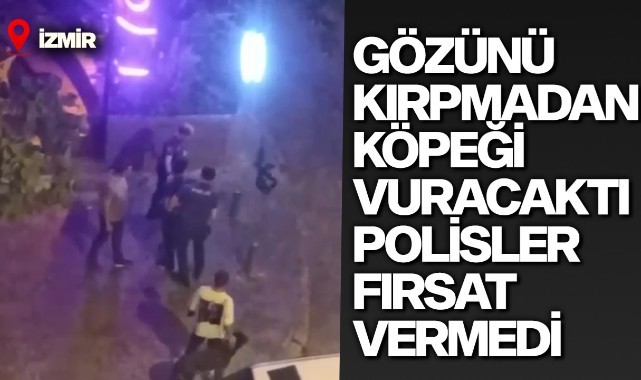 Gözünü kırpmadan köpeği vuracaktı, polisler fırsat vermedi