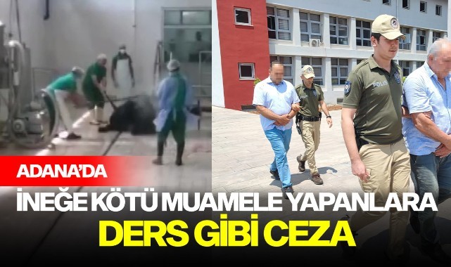 İneğe kötü muamele yapanlara hakimden ders gibi ceza