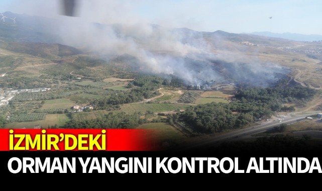 İzmir'deki orman yangını kontrol altında