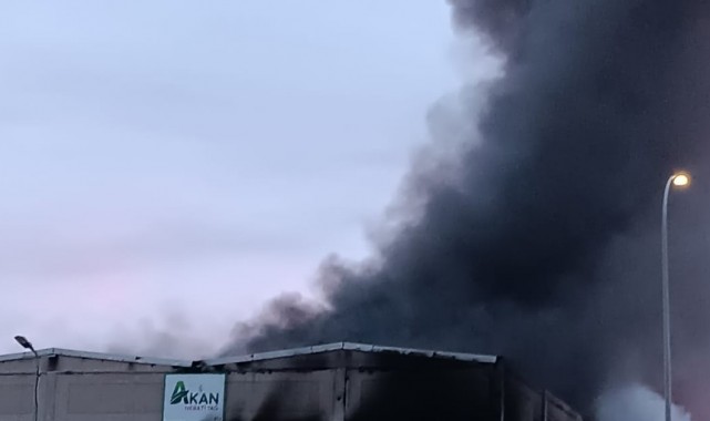 İzmir'de yağ fabrikasında korkutan yangın