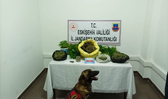 Jandarmadan uyuşturucu operasyonu   