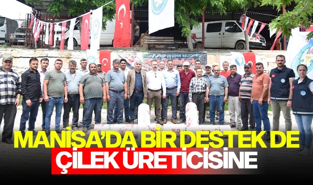 Manisa'da Bir Destek de Çilek Üreticisine