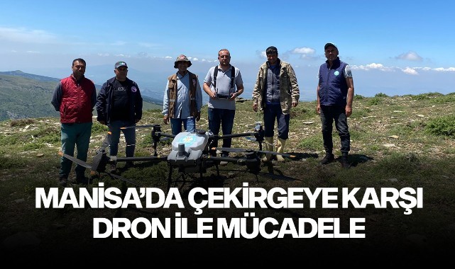 Manisa'da çekirgeye karşı dron ile mücadele