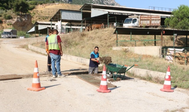 Manisa’da kurban kesim alanları bayrama hazır