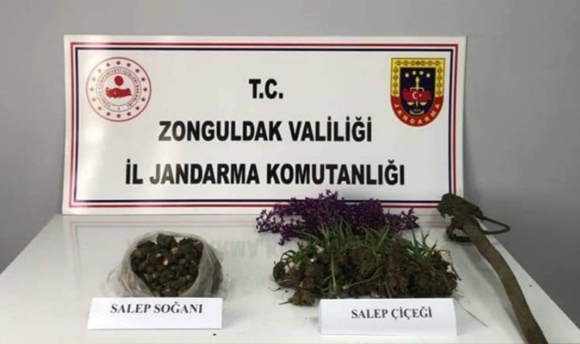 Salep soğanı toplayanlara 2 milyon lira ceza 