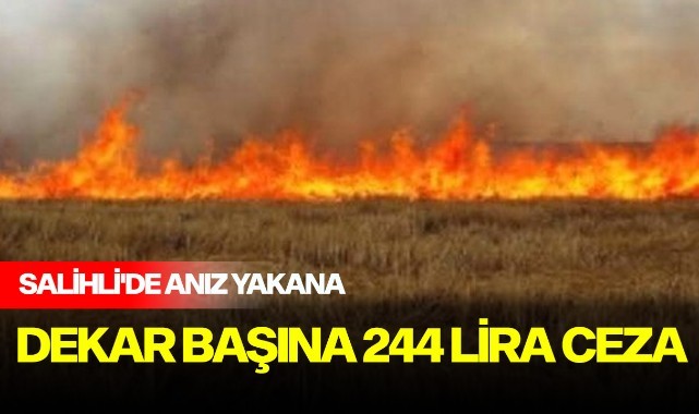 Salihli'de anız yakana dekar başına 244 lira ceza