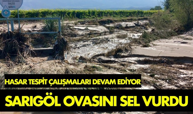 Sarıgöl Ovası'nı sel vurdu 