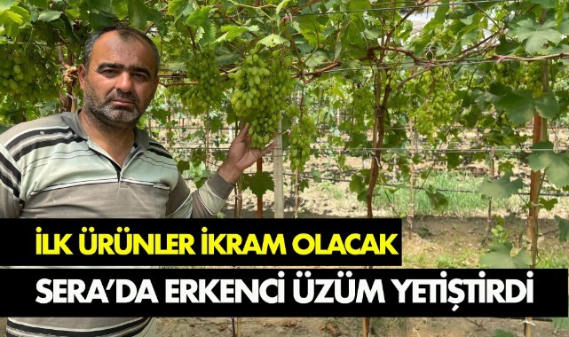 Serada erkenci üzüm yetiştirdi, ilk ürünler ikram olacak 