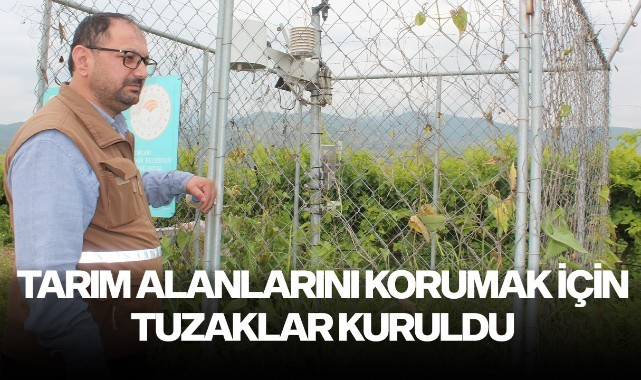 Tarım alanlarını korumak için tuzaklar kuruldu
