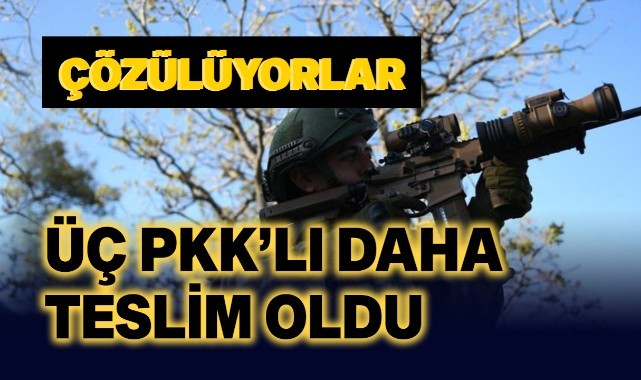 Üç PKK'lı daha teslim oldu