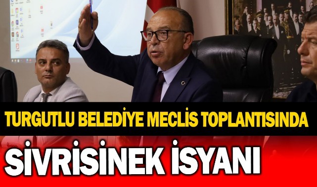 Belediye meclis toplantısında sivrisinek isyanı