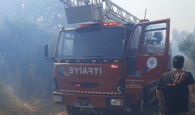 Bodrum’da 2 ayrı noktada yangın