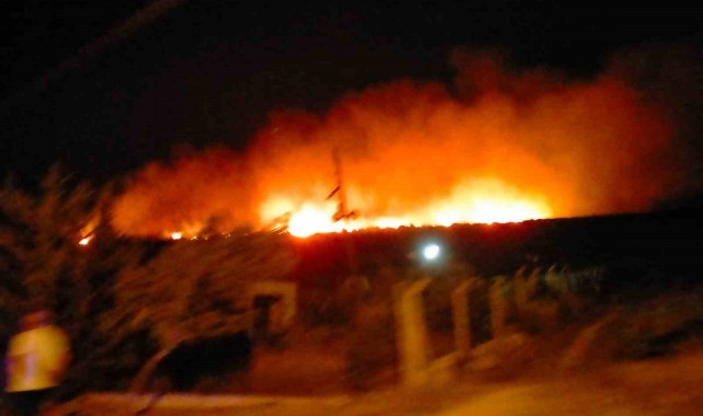 Çeşme'de çamlık alanda yangın
