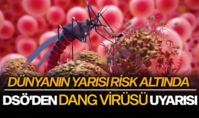 DSÖ'den dang virüsü uyarısı: Dünyanın yarısı risk altında!