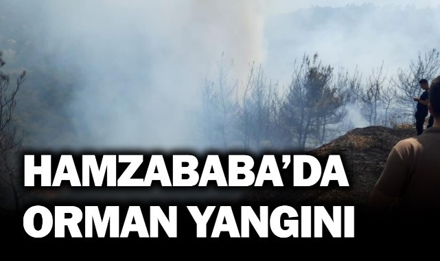 Hamzababa'da orman yangını