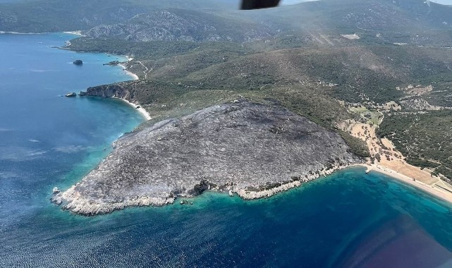 İzmir'deki orman yangınında gözaltına alınan şüpheliler serbest bırakıldı