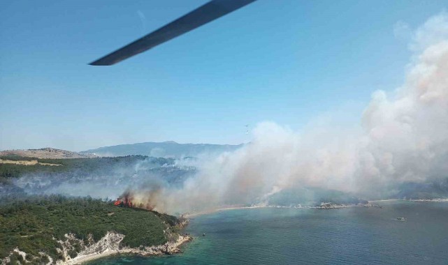 İzmir'deki orman yangınında yaralanan personel şehit oldu