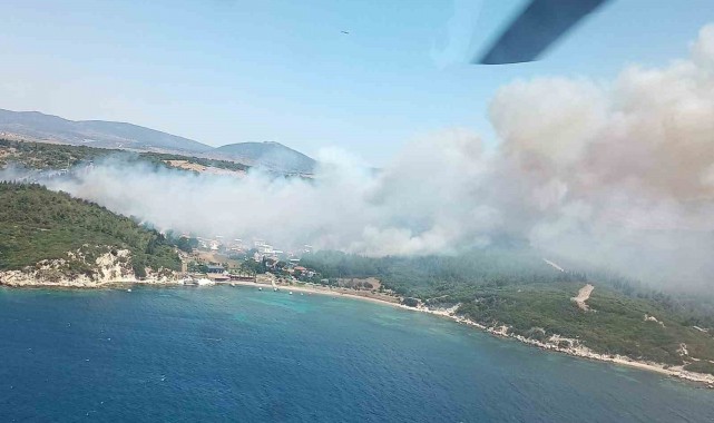 İzmir'deki orman yangınıyla ilgili gözaltına alınan 2 kişi serbest