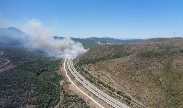 İzmir'deki yangınlarda son durum