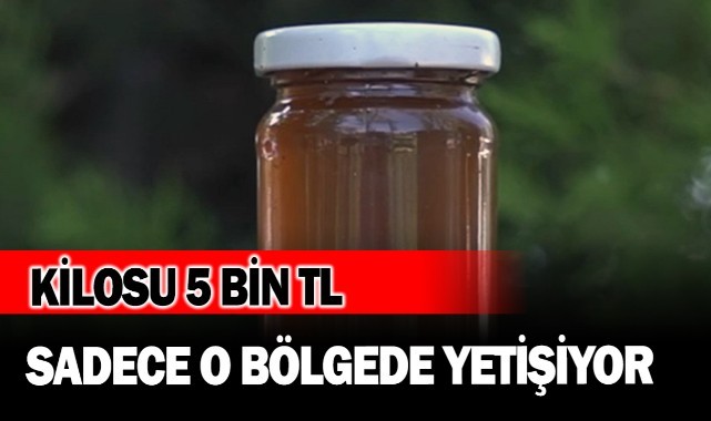 Kilosu 5 bin lira, sadece o bölgede yetişiyor