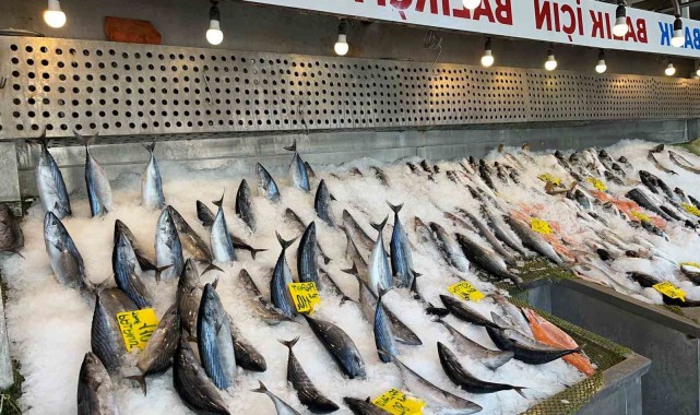 Kırmızı ete ara vererek "balık tüketin" önerisi