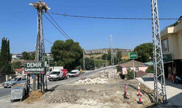 Leylek yavruları için yol inşaatı durduruldu