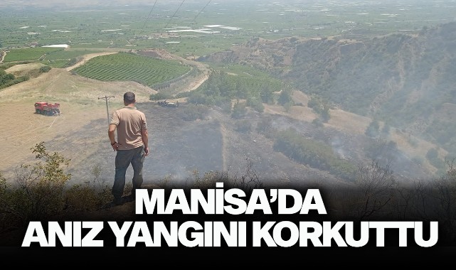 Manisa'da anız yangını korkuttu