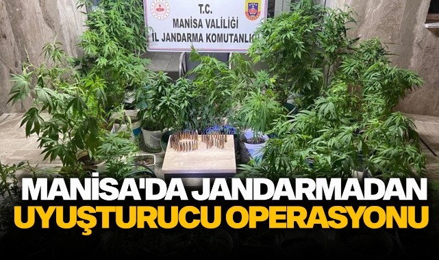 Manisa'da jandarmadan uyuşturucu operasyonu 