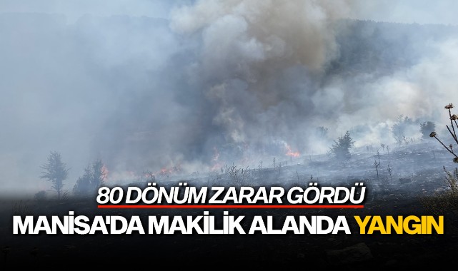 Manisa'da makilik alanda yangın