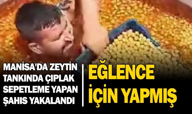 Manisa'da zeytin tankında çıplak sepetleme yapan şahıs yakalandı