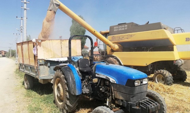 Reis buğday çeşidinin hasan kontrolü yapıldı