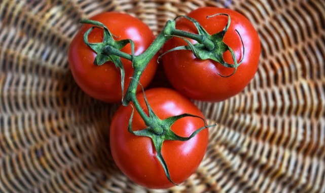 Rusya'nın Türkiye için domates kararı