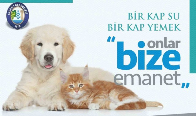 Salihli'de sokak hayvanları için çağrı: 'Bir kap su, bir kap yemek'