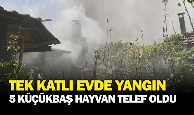 Tek katlı evde yangın; 5 küçükbaş hayvan telef oldu