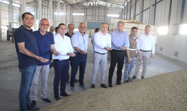 TMO Kula'da hububat alımına başladı