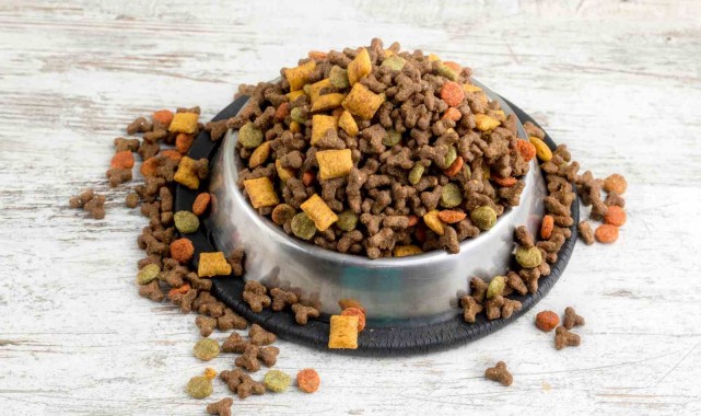 Türkiye'nin kedi-köpek maması ihracatında yüzde 64'lük artış