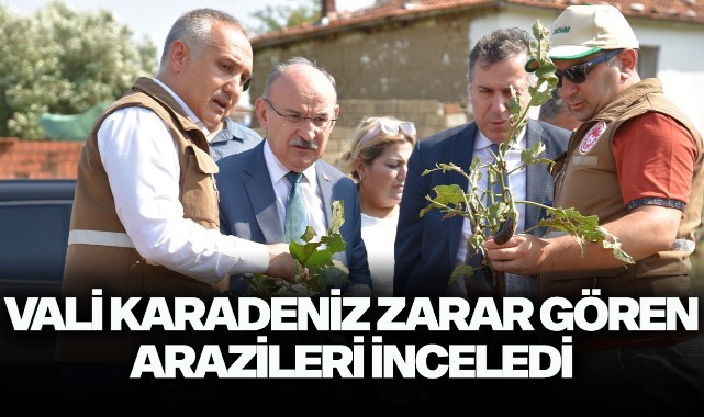 Vali Karadeniz zarar gören arazileri inceledi