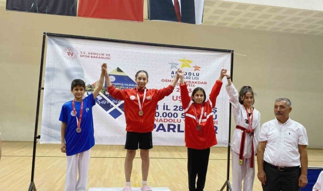 Yunusemreli Aleyna'dan gümüş madalya