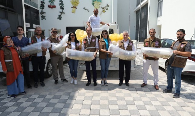 890 bin pullu sazan balığı yavrusu baraj gölü ve göletlere bırakıldı