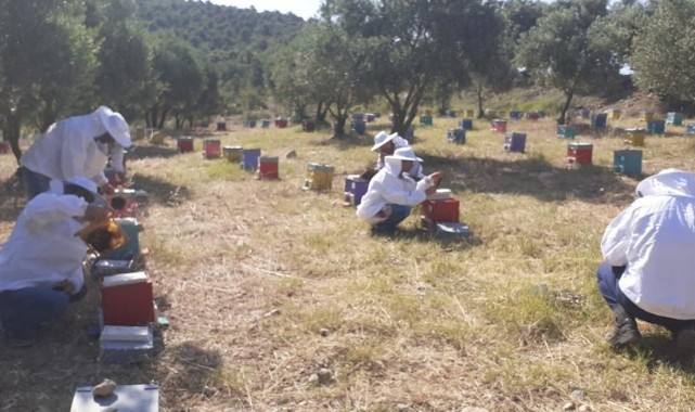 Arıcılık Eğitim Merkezinde Yeni Dönem Başladı