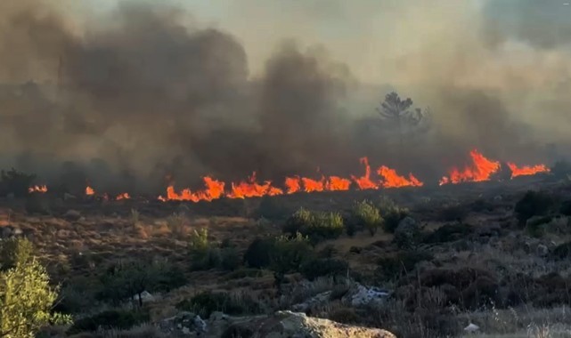Bodrum’da Türkbükü yangını geniş alana yayıldı