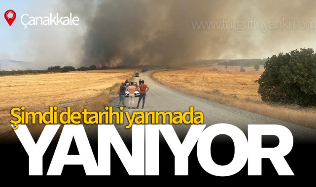 Çanakkale'de bu sefer tarihi yarımada yanıyor