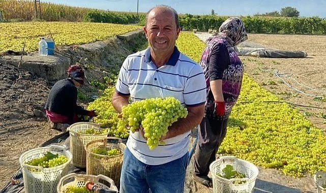 CHP'li Gürtunca: 'Üzüm üreticilerini bir de TMO vurmasın'