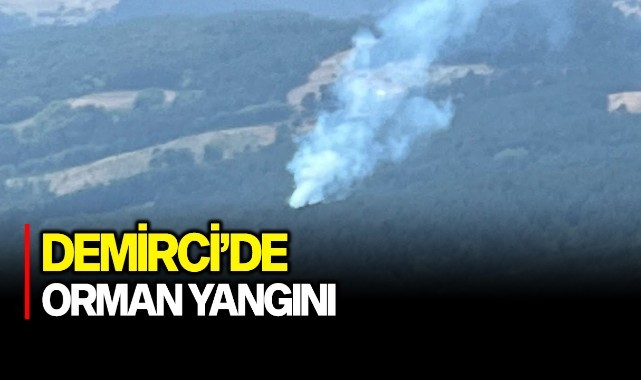 Demirci'de orman yangını
