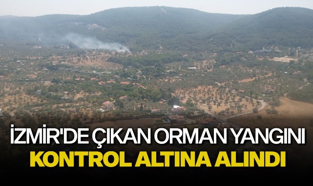 İzmir'de çıkan orman yangını kontrol altına alındı