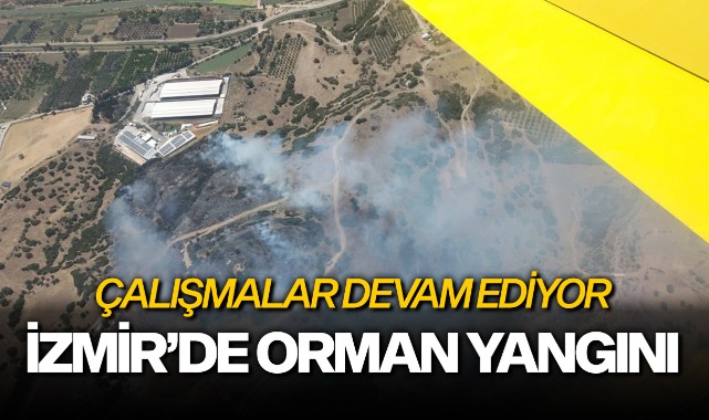 İzmir'de orman yangını