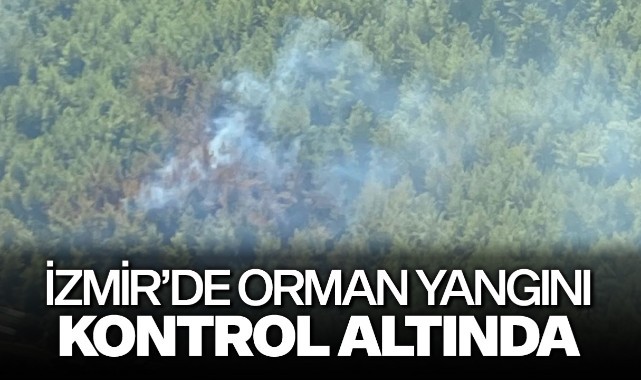 İzmir'de orman yangını kontrol altında