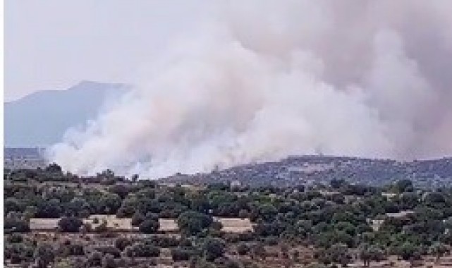 İzmir'de makilik alanda yangın