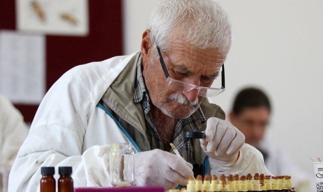 Kullanılmayan okul binası arıcılık eğitim merkezi oldu