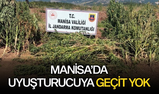Manisa'da uyuşturucuya geçit yok